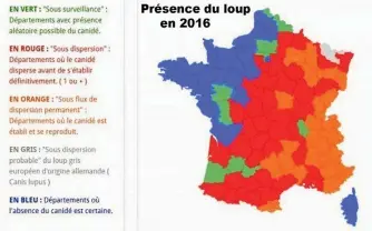  ??  ?? Présence d’un loup de passage dans le sud et d’un autre loup dans le nord Aveyron