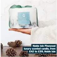  ?? ?? Noble Isle Pinewood luxury scented candle, from £42 to £59, Noble Isle