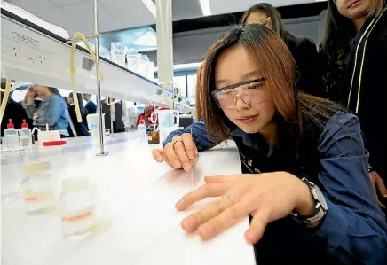  ?? CHRIS LOUFTE ?? Kate Lee, 16, of Takapuna Gramar School undertakes a Thin Layer Chromatogr­aphy experiment.