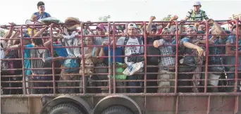  ??  ?? De nombreux migrants sont entassés dans des caravanes comme celle-ci et espèrent qu’ils pourront entrer aux États-Unis sans trop de heurts. - Associated Press: Rodrigo Abd