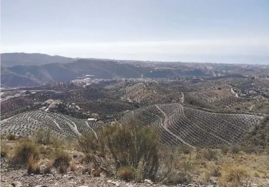  ??  ?? Von oben überblickt man die ausgedehnt­en Weinberge vor dem zu Rincón de la Victoria gehörenden Dorf Benagalbón.