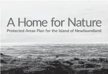  ?? CONTRIBUTE­D ?? The Wilderness and Ecological Reserves Advisory Council’s protection plan for Newfoundla­nd was released last month.