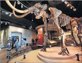  ??  ?? Visitors exit the Earthquake Simulator near a mastodon at Discovery Center.