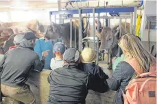  ??  ?? Im Kuhstall des Erlebnisba­uernhofs können die Kinder hautnah miterleben, wie die Kühe gemolken werden.