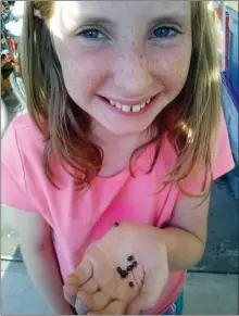  ?? Special to the Herald ?? Lindsay, age 10, holds some beetles before they are released onto invasive St. John’s-wort plants.