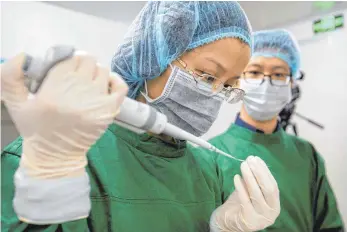  ?? FOTO: DPA ?? Umstritten­e Forschung: Wissenscha­ftlerin Zhou Xiaoqin lädt an der chinesisch­en Universitä­t Shenzhen Cas9Protei­n und PCSK9 sgRNA-Moleküle in eine feine Glaspipett­e.