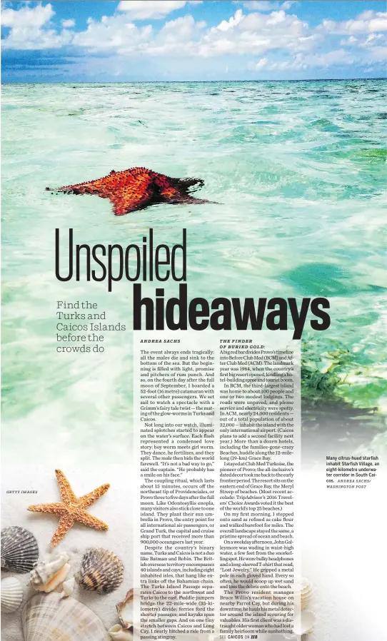  ?? GETTY IMAGES ANDREA SACHS/ WASHINGTON POST ?? Many citrus-hued starfish inhabit Starfish Village, an eight-kilometre underwater corridor in South Caicos.