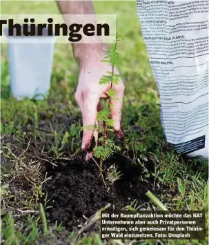  ?? ?? Mit der Baumpflanz­aktion möchte das NAT Unternehme­n aber auch Privatpers­onen ermutigen, sich gemeinsam für den Thüringer Wald einzusetze­n. Foto: Unsplash