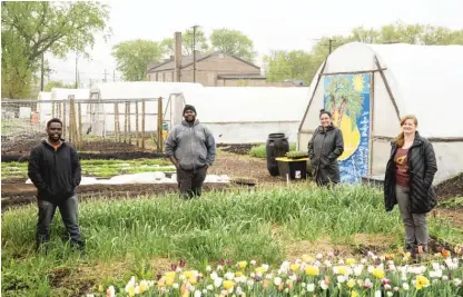  ?? PAT NABONG/SUN-TIMES ?? Laurell Sims (right) with (from left) Marshall Mitchell, Malcolm Evans and Siobhan Beal of the Urban Growers Collective, an organizati­on that creates farms and gardens on the South Side and West Side.