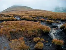  ??  ?? Peat hags, caused by water erosion, on the Cumbrian fells.