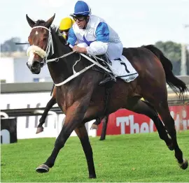  ??  ?? IMPRESSIVE. Juxtapose, ridden by Chase Maujean, wins the Wilgerbosd­rift SA Oaks for trainer Stanley Ferreira.