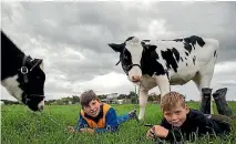  ?? PHOTO: DAVID UNWIN/FAIRFAX NZ ?? Zac Faulkner, 10 and Cooper Faulkner, missed competing at the Manawatu Oroua Boys and Girls Ag Lamb and Calf Club championsh­ip day because they don’t attend a school in the area.