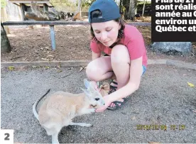  ??  ?? 2
1. La famille Planchard en Australie (de gauche à droite): Émile, Bruno, le père, Danielle Dubé, la mère, et Mathilde. 2. Mathilde et un kangourou 3. Rentrée au Québec, la jeune fille garde de nombreux souvenirs de son voyage.