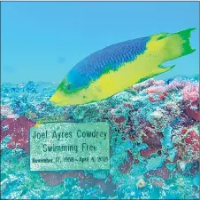  ?? ?? A fish swims by a memorial plaque at the man-made Neptune Memorial Reef. — AFP photos by Chandan Khanna