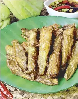 SAYOTE FRIES - PressReader
