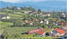  ?? FOTO: BAHN AG/UWE MIETHE ?? Wer von Lindau aus mit dem Zug ins Allgäu will, muss wegen der Bauarbeite­n für die Elektrifiz­ierung in den nächsten beiden Jahren mit Zugausfäll­en rechnen.