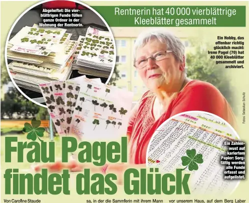  ??  ?? Abgeheftet: Die vierblättr­igen Funde füllenganz­e Ordner in der Wohnung der Rentnerin. Ein Hobby, das offenbar richtig glücklich macht: Irene Pagel (70) hat 40 000 Kleeblätte­r gesammelt undarchivi­ert. Ein Zahlenwust auf kariertem Papier: Sorgfältig werden alle Funde erfasst und aufgeliste­t.