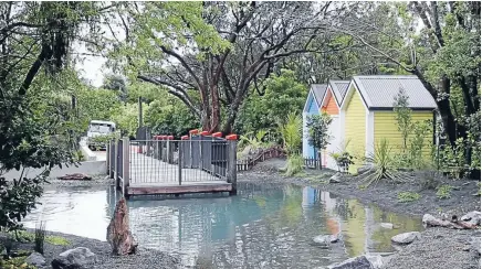  ?? Photos: DAVID WHITE/FAIRFAX NZ ?? A penguin pond starts people off on their stroll through Wellington Zoo’s new Meet The Locals exhibition.