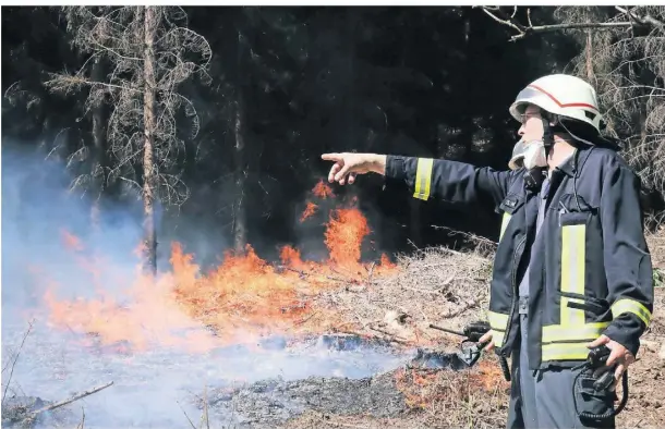  ?? FOTO: DPA ?? Ein Feuerwehrm­ann vor einem brennenden Waldstück. Noch in diesem Sommer soll eine Übung mit dem Landesbetr­ieb Wald und Holz stattfinde­n.