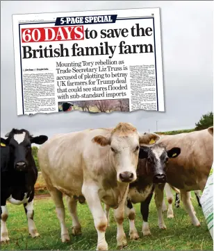  ??  ?? TRADE THREAT: UK farmers could be put out of business by the importing of sub-standard American meat. Inset above: The Mail on Sunday headline last week