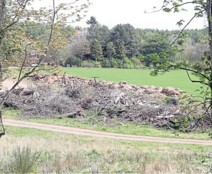  ?? Picture: Gareth Jennings. ?? Land at the former Bellwood Nursery has been earmarked for the scheme.