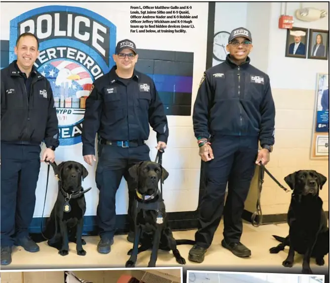  ?? ?? From l., Officer Matthew Gullo and K-9 Louis, Sgt Jaime Sitko and K-9 Quaid, Officer Andrew Nader and K-9 Robbie and Officer Jeffery Wickham and K-9 Hugh team up to find hidden devices (near l.). Far l. and below, at training facility.