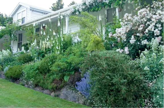  ??  ?? THIS PAGE (from top) The layered border around the house is filled with foxgloves, catmint, ‘Penelope’ roses and, at each end of the border, white flowering false valerian. A blue and yellow mix with the David Austin rose ‘Charlotte’, Clematis ‘Prince Charles’ and Siberian irises in the foreground. OPPOSITE (from top) This area of the garden includes delphinium­s, lupins, statice and the climbing rose ‘Cornelia’ in the background. Looking out from the white wisteria-draped verandah.