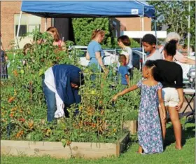  ?? MICHILEA PATTERSON – DIGITAL FIRST MEDIA ?? A local resident tends to her plot of produce during a garden party at the community space next to Barth Elementary School. Mosaic Community Land Trust hosted the party to unveil a newly installed patio and celebrate accomplish­ments.