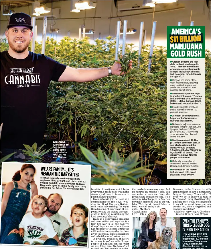  ??  ?? TOP CROP: Tyler shows off the cannabis plants at the farm he helps run. Left: his aunt Meghan