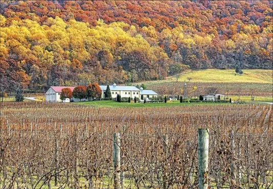  ?? Tom Lussier ?? At Breaux Vineyards in Purcellvil­le, Va., 18 grape varieties are planted over 100 acres.