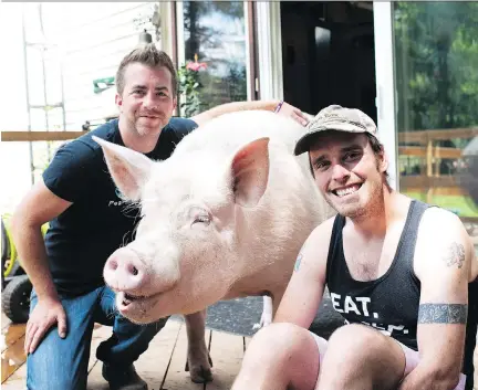  ?? HANNAH YOON/THE CANADIAN PRESS ?? Canadian authors Derek Walter, left, and Steve Jenkins have made their pig Esther an internatio­nal star.