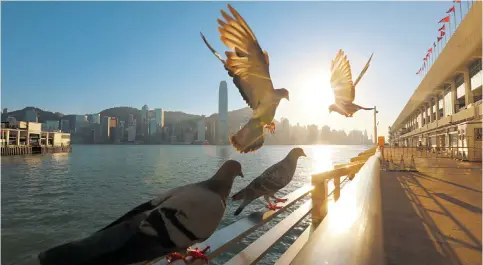  ?? Photo: Felix Wong ?? In a Bloomberg survey of who handled the pandemic best, Hong Kong ranked bottom out of 53 economies, mainly due its lockdown regime and the collapse of travel.