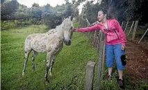  ??  ?? A friendly horse greets Stuff reporter Christina Persico along the pathway.