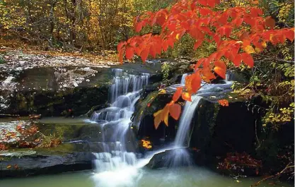  ?? Submitted photo ?? ■ Cossatot River State Park is just one of many locations perfect for a First Day Hike.