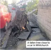  ??  ?? A fallen tree close to a car in Whitchurch