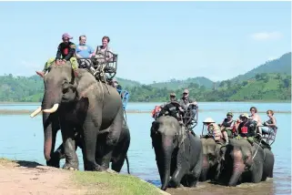  ?? Hoang Dinh Nam / AFP ?? Tourist parties travel across Lak lake by elephant. The animals mean income and prestige for their owners, but the industry is also compromisi­ng the health and welfare of the big animals.