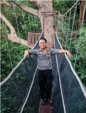  ??  ?? Above: Ranger Laslie Christianu­s bin Mudin on the Rasa Ria Reserve's canopy walkway.Top right: A resident palm civet. Opposite,from top: The nature reserve overlooks the manicured grounds of Shangri-La's Rasa Ria Resort &amp; Spa; spotting the local wildlife after dark.