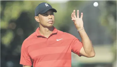  ?? Picture: AFP ?? THE LEGEND IS BACK. The return of four-time winner Tiger Woods has caused a major buzz ahead of this week’s Masters at Augusta.