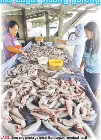  ??  ?? LARIS: Seorang peniaga gerai ikan segar, menjual hasil tangkapan nelayan di gerainya yang terletak di sepanjang Jalan Lutong-Kuala Baram di Miri.