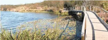  ?? | African News Agency (ANA) ?? WETLANDS, such as those at the Silvermine Nature Reserve, must be preserved, the writer says.