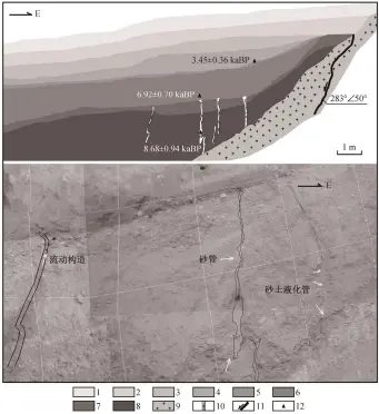  ??  ?? 据文献[11]修改。1 褐黄色含砾黏土(层 1); 2 褐黄色含砾砂层(层 2); 3 紫色砂砾层(层 3); 4 紫色含砾砂层(层 4); 5 黑色薄层砾石层(层 5); 6 浅黄色粉细砂层(层 6); 7 紫红色砾石层(层 7); 8 褐黄色砾石层(层 8), 砾石磨圆度较好; 9 花岗片麻岩(层 9); 10 砂脉(层 10); 11 断层及其运动方向; 12 取样位置图 6江边中学探槽 JB-TC02 北壁构造剖面Fig. 6 Structural profile at the north wall of trench JBTC-02 beside Jiangbian middle school