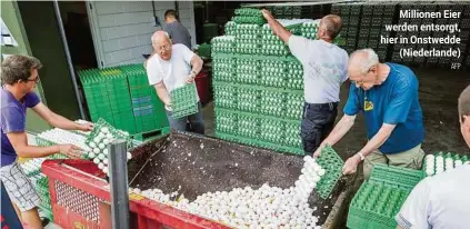  ??  ?? Millionen Eier werden entsorgt, hier in Onstwedde
(Niederland­e)