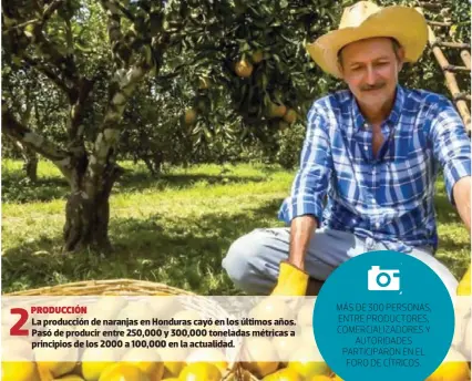  ?? ?? 2
PRODUCCIÓN
La producción de naranjas en Honduras cayó en los últimos años. Pasó de producir entre 250,000 y 300,000 toneladas métricas a principios de los 2000 a 100,000 en la actualidad.