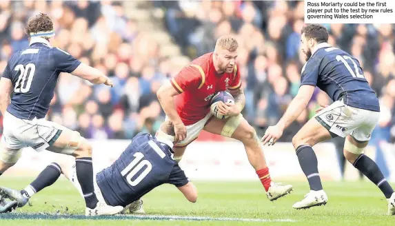  ??  ?? Ross Moriarty could be the first player put to the test by new rules governing Wales selection