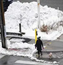  ?? ?? A pedestrian with a dog crosses the street near a large pile of snow Monday in Minneapoli­s. The storm was largely expected to spare the Twin Cities area after socking it Sunday with heavy snow.