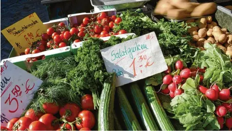  ?? Foto: Holger Hollemann, dpa ?? Der trockene Sommer fordert Tribut: Magere Ernten treiben die Supermarkt­preise für manche Obst und Gemüsesort­en nach oben. Salatgurke­n waren Anfang September so teuer wie lange nicht mehr.