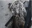  ??  ?? A blockage of wet wipes pulled from a sewer