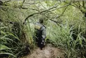  ??  ?? BORDER PATROL Agent Jesse Moreno searches for migrants who crossed into Mission, Texas.