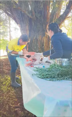  ?? PICTURE / SUPPLIED ?? HANDY MAN: Three days into his new job with Heritage New Zealand Alex Bell found himself preparing a hogget for spit roasting at the Waitangi Day cricket match at Te Waimate Mission.