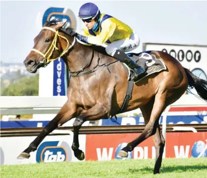  ?? Picture: JC Photograph­ics ?? BACK WITH A BANG. Seehaam (Lyle Hewitson) proved far too good for her opposition in Race 8 at Turffontei­n on Saturday, notching up her third win in four starts. The daughter of Vercingeto­rix was one of four winners on the card for Champion Trainer Sean Tarry.